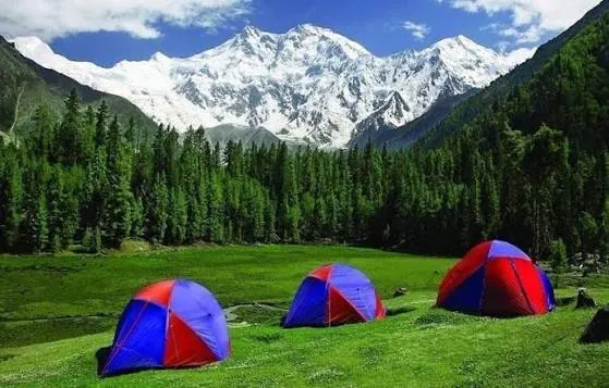 Tents on the green meadow of Fairy Meadows with Nanga Parbat behind